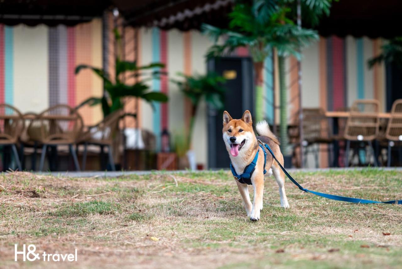 Taitung Rainbow Pet Friendly Maison Resort エクステリア 写真