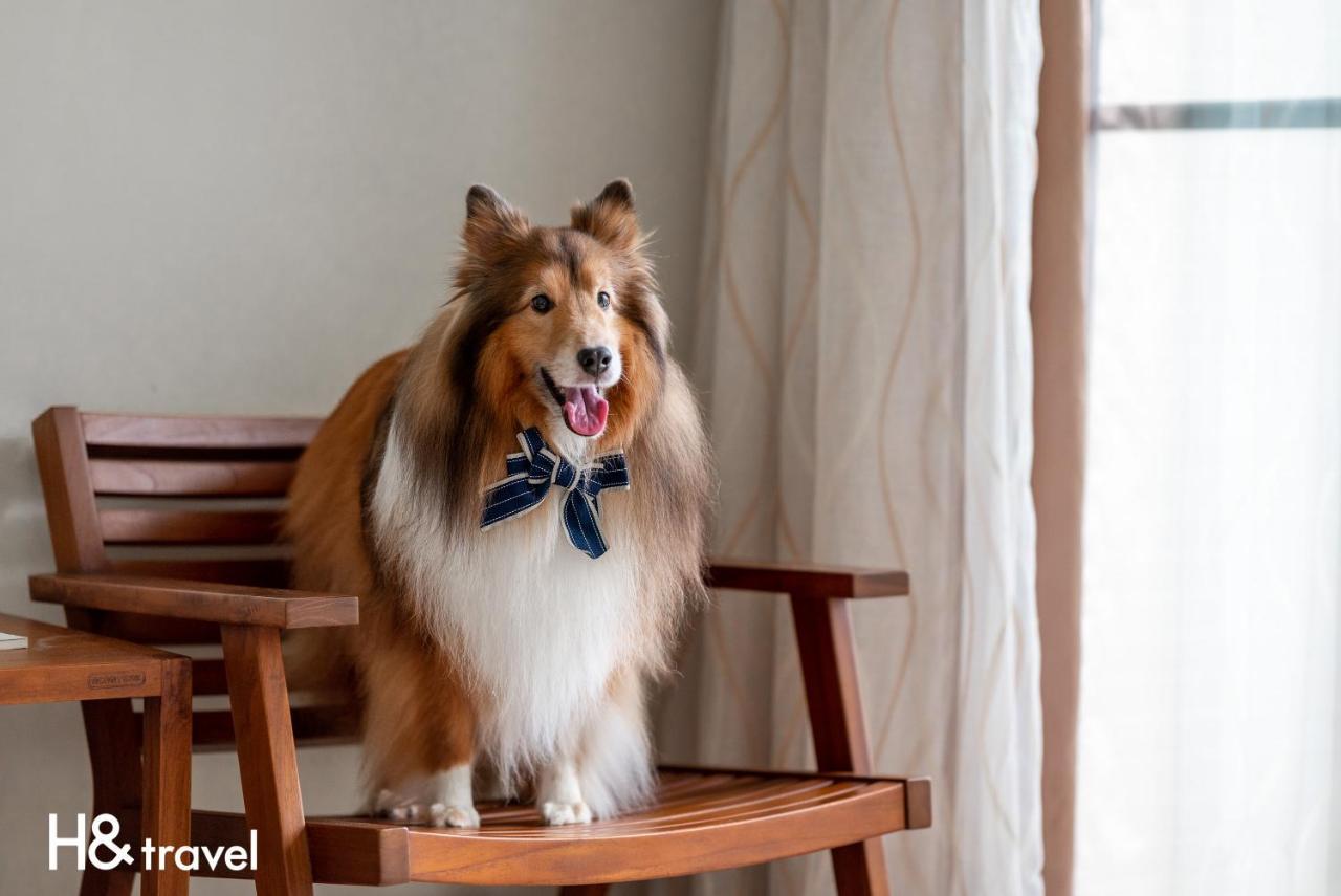 Taitung Rainbow Pet Friendly Maison Resort エクステリア 写真