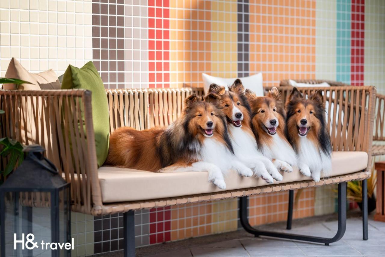 Taitung Rainbow Pet Friendly Maison Resort エクステリア 写真