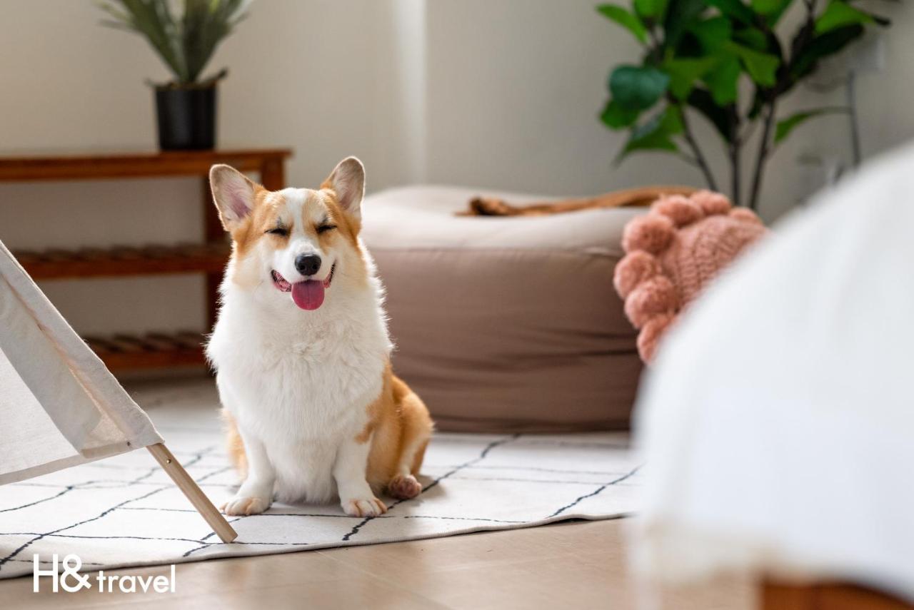 Taitung Rainbow Pet Friendly Maison Resort エクステリア 写真