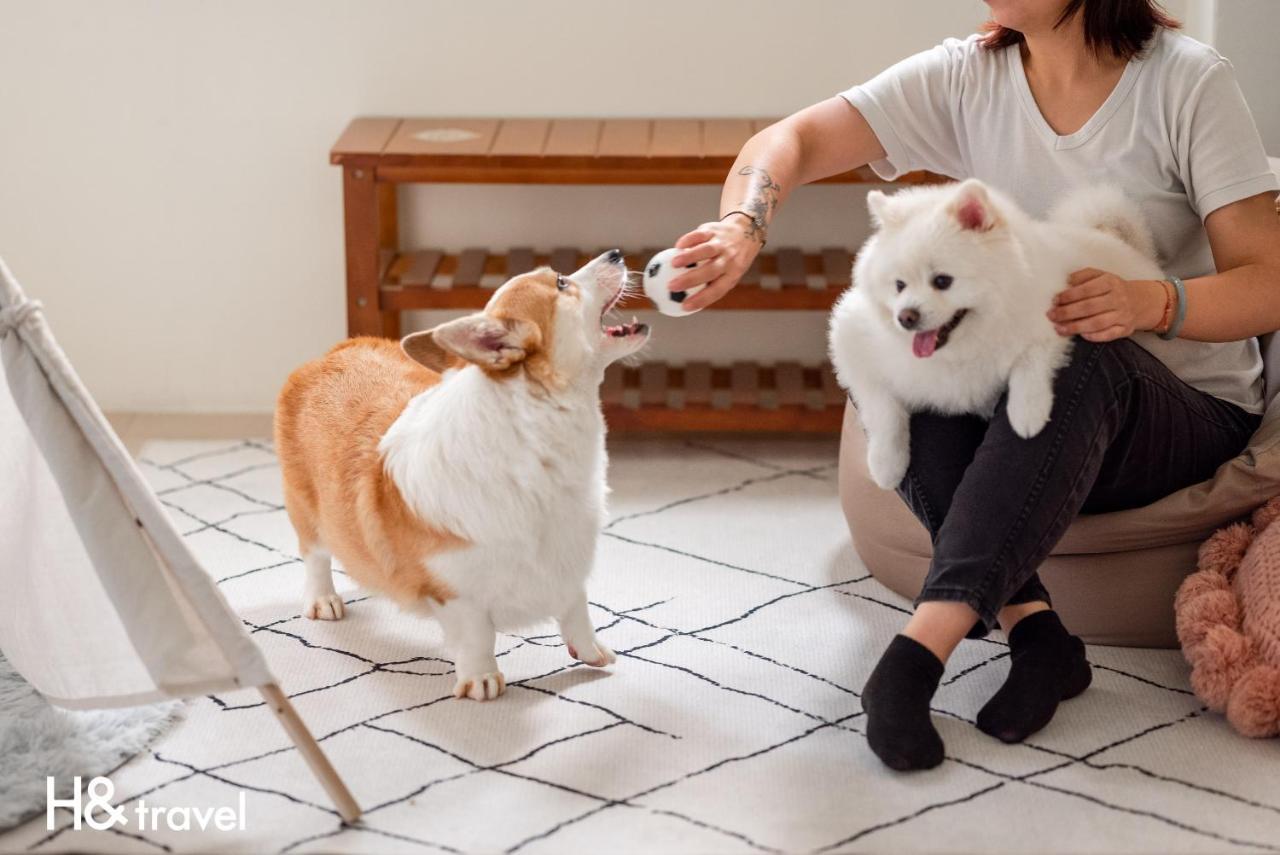 Taitung Rainbow Pet Friendly Maison Resort エクステリア 写真