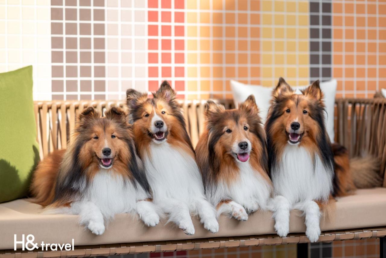 Taitung Rainbow Pet Friendly Maison Resort エクステリア 写真