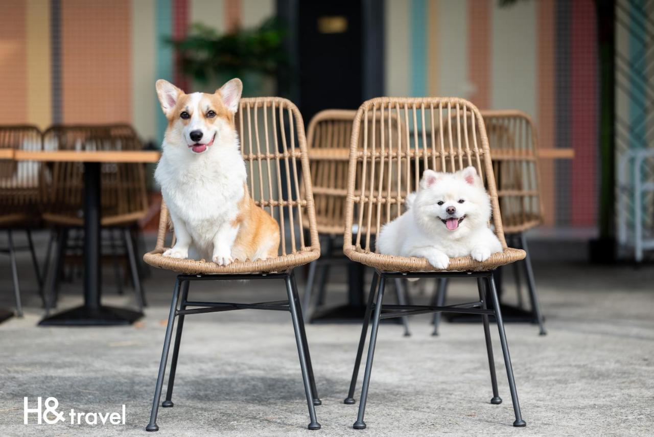 Taitung Rainbow Pet Friendly Maison Resort エクステリア 写真