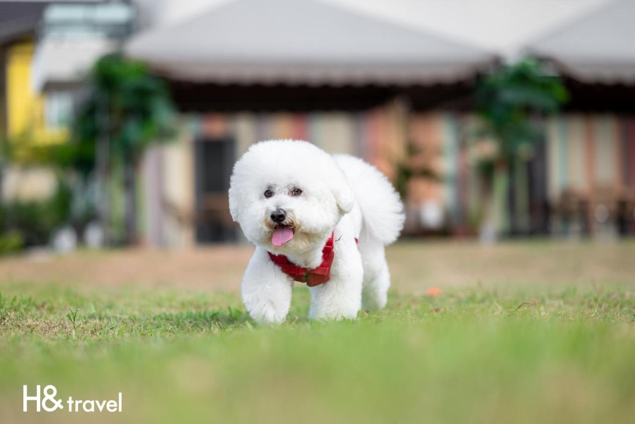 Taitung Rainbow Pet Friendly Maison Resort エクステリア 写真