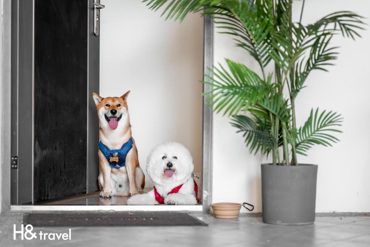 Taitung Rainbow Pet Friendly Maison Resort エクステリア 写真
