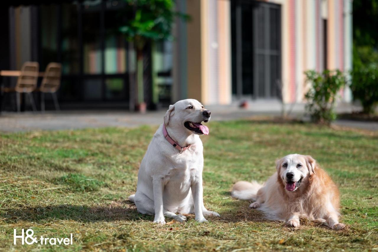 Taitung Rainbow Pet Friendly Maison Resort エクステリア 写真
