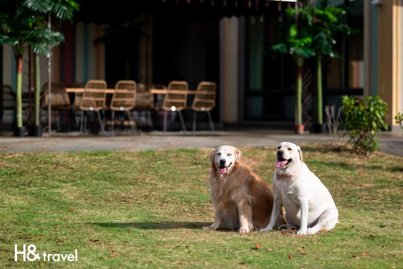 Taitung Rainbow Pet Friendly Maison Resort エクステリア 写真